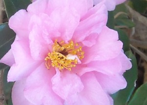 Lots of barely noticeable activity here, so we limit poisons and sprays