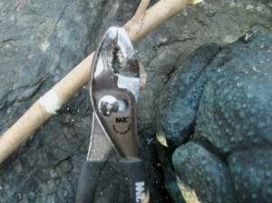 The completed scraing