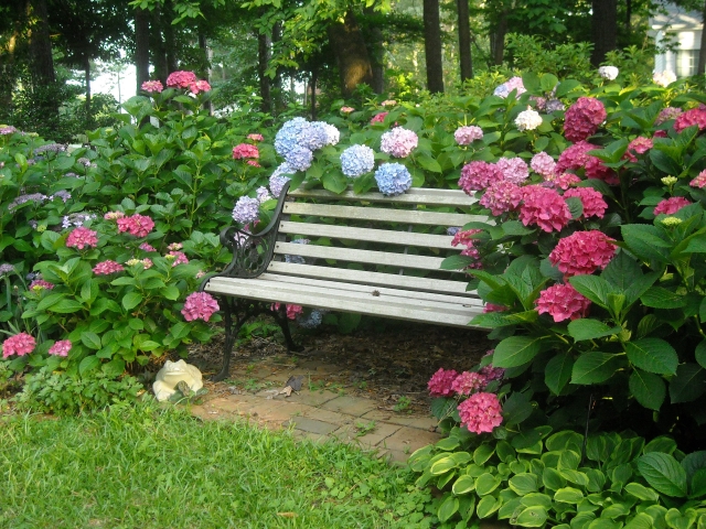 How romantic is that!