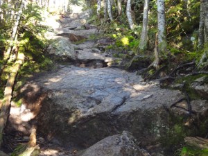 To the top of Mt. Pierce/Clinton