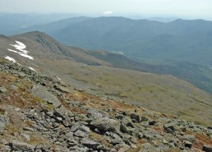 This 'plateau' in the peaks allows alpine plants to gain a foothold