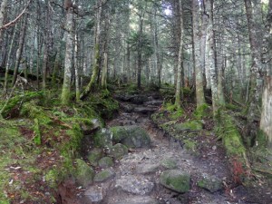 The trail becomes rocky. Photo by Northeast Hiker