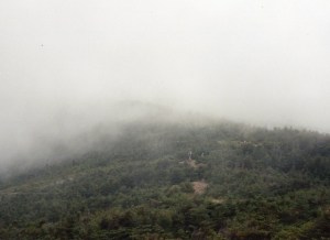 Fog rolling in, we'd better make tracks