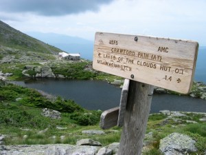 A lovely view of the hut and alpine plants on a sunny day