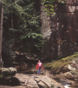 Megs dwarfed by the forest around her