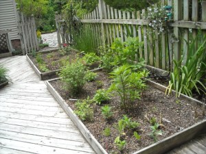 Experimental planting beds in spring