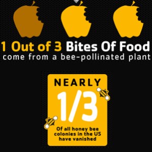 We can thank bees for many of our favorite fruits and veggies. beesfree.biz 