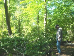 Do I really have to grind all this?