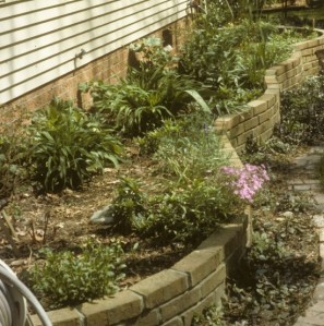 They're actually growing!