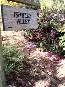 Peanut hulls look sharp on paths, are good soil conditioners