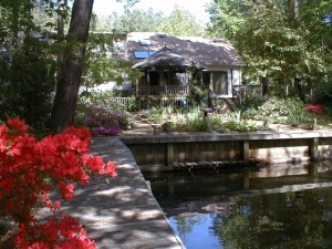 Ten years ago the canoe platform was visible; today it is below water