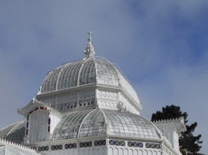 Blue skies smiling down on elegance. . .won't last long