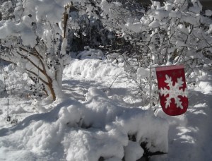 An ironic salute to winter