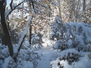 Pathway to our armillary, that tiny stand in the snow