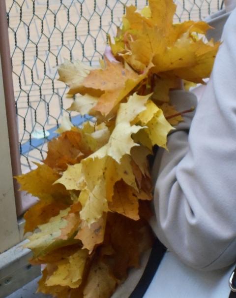 Autumn leaves are collected and enjoyed in wreaths people are carrying