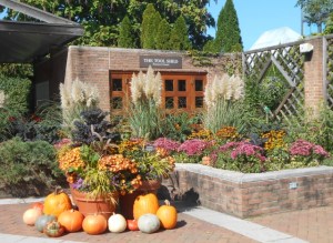 Lavishly planted Enabling Garden