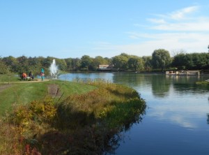 Floating fountain in a pastoral setting