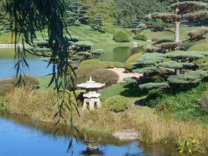"Clouds" in the Japanese Garden