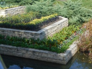Snugly planted terraces protect against erosion