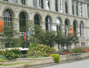 Panicle hydrangeas, sweet potato vines, grasses and flowering trees punctuate the islands along Michigan Ave
