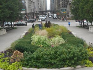 An island in the park