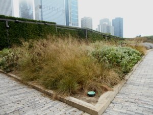 Shoulder hedge, lit at night and, more prosaically, the pop-up sprinkler head