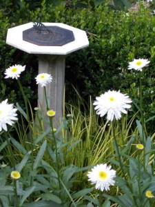'Ice Star' shastas dance around the sundial earlier in the season