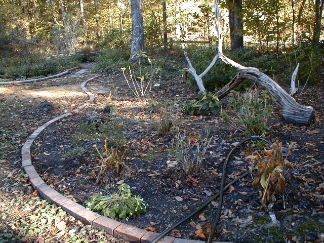 Oops, I lied. I can't even imagine why I took this picture. 