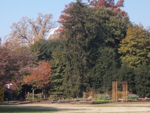 The White House vegetable garden