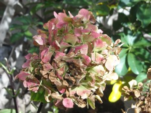 An October treat makes up for the graffiti