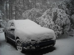 Wouldn't it be nice if we had a picture of Ranger in the snow?