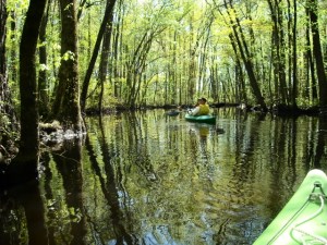 Cruising on Yeopim Creek, just minutes from our house